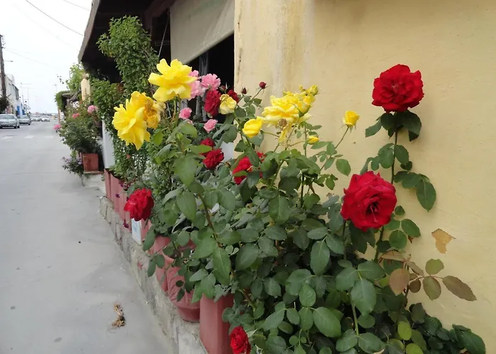 Daire Elia Mare Mastichari (Kos)