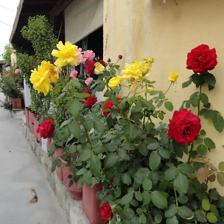 Daire Elia Mare Mastichari (Kos)